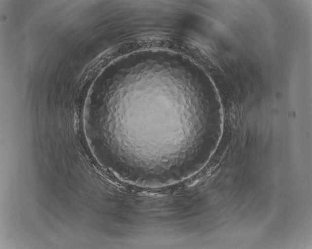 X0000077380821200610201350