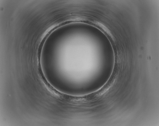 X0000077380837200610201350
