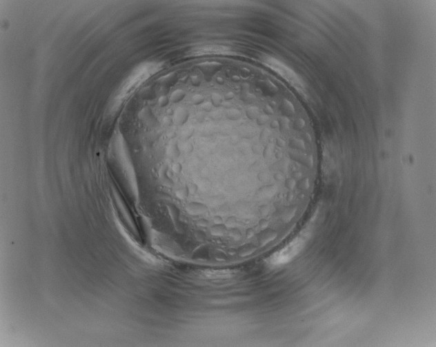 X0000077380849200610201351