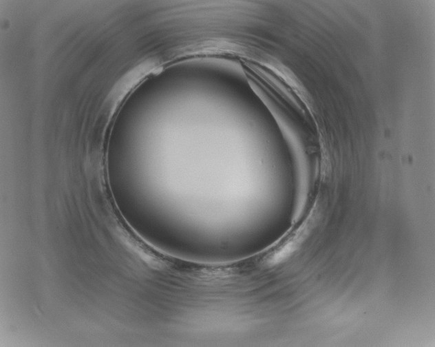 X0000077380850200610201351
