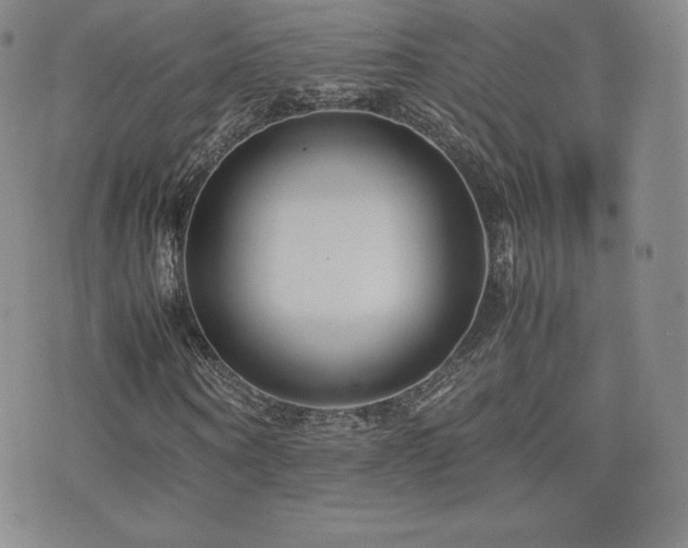 X0000077380866200610201350