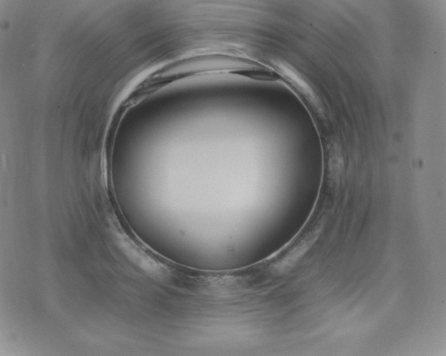 X0000077380940200610201349