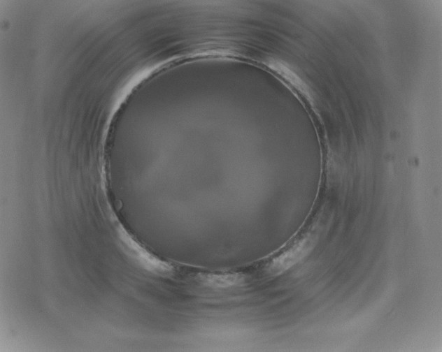 X0000077380941200610201349