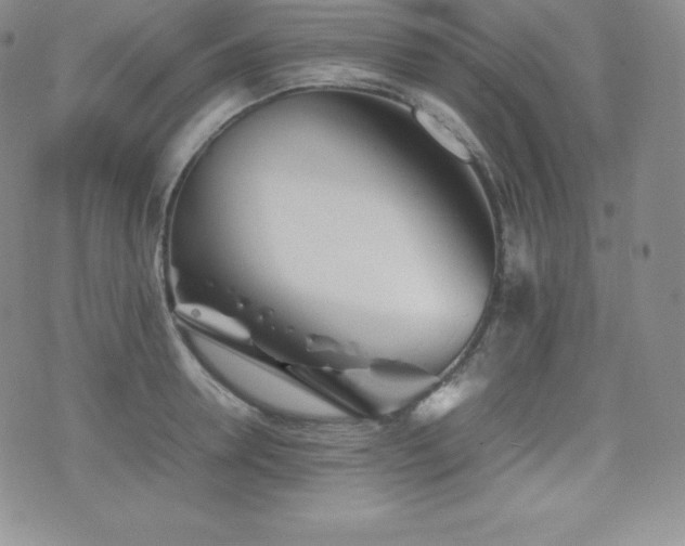 X0000077380946200610201349