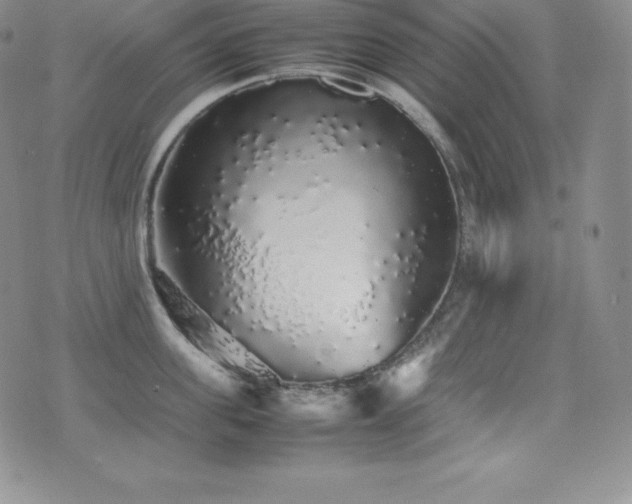 X0000077380955200610201349