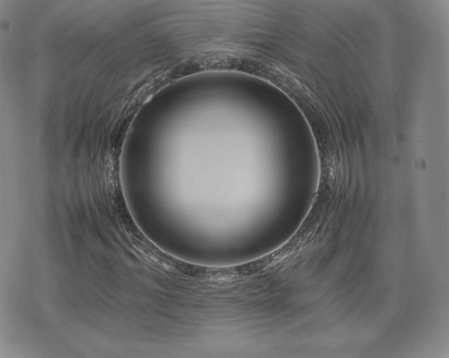 X0000077380964200610201348