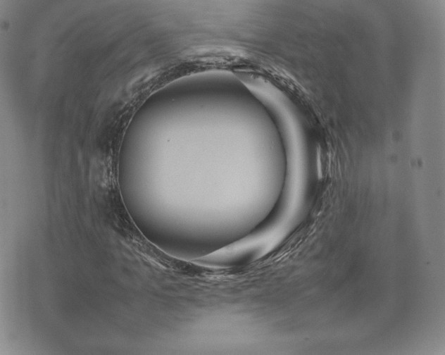 X0000077380965200610201348