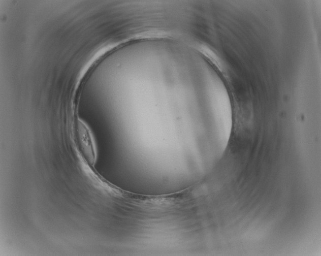 X0000077381000200610201348