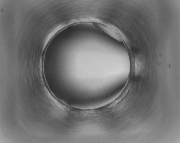 X0000077381006200610201348