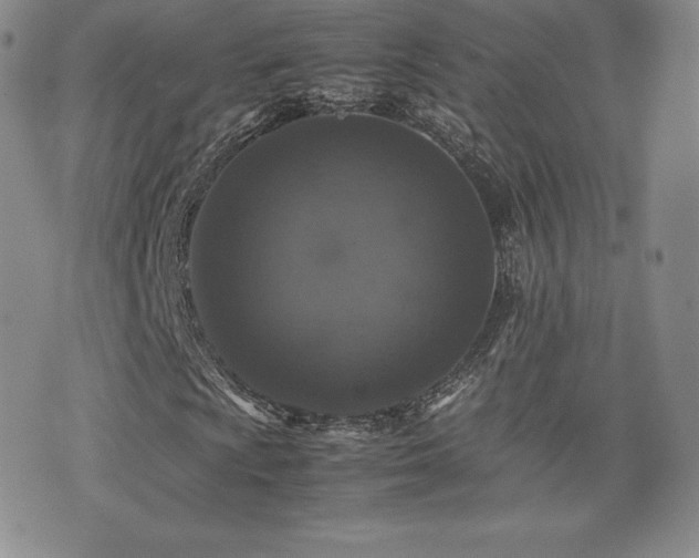 X0000077381009200610201347