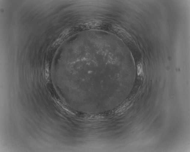 X0000077381011200610201347