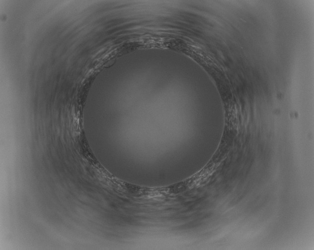 X0000077381013200610201347