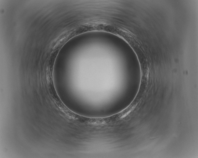 X0000077381014200610201347