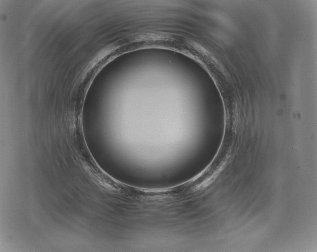 X0000077381017200610201347