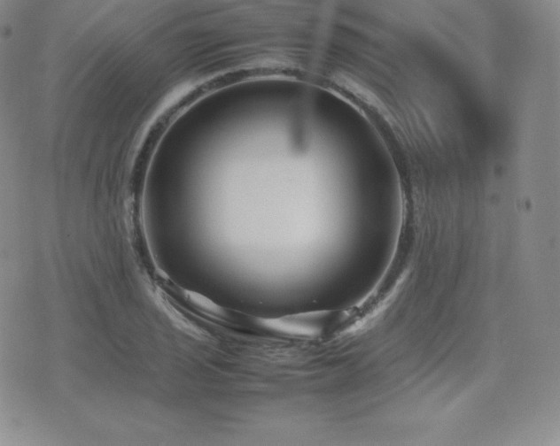 X0000077381029200610201347