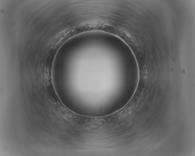 X0000077381062200610201347