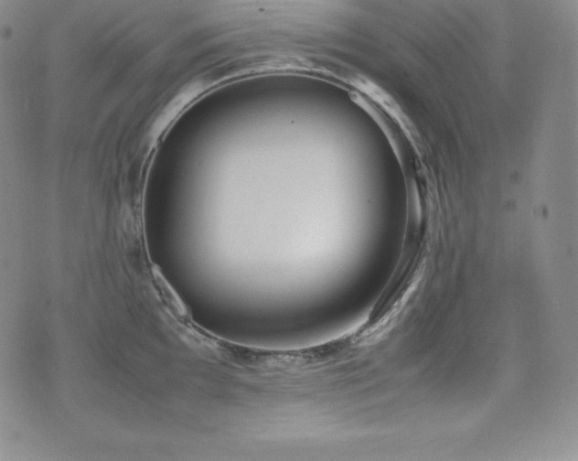 X0000077381097200610201346