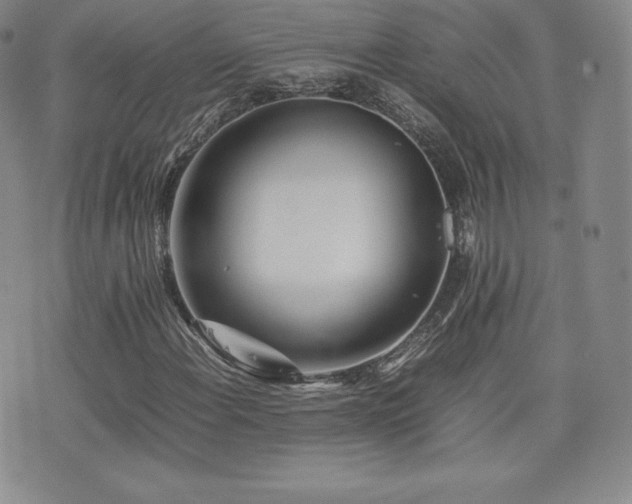X0000077381108200610201345