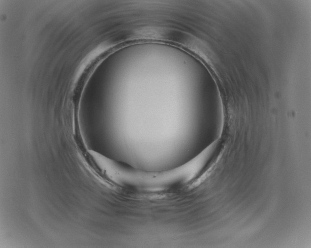 X0000077381123200610201346