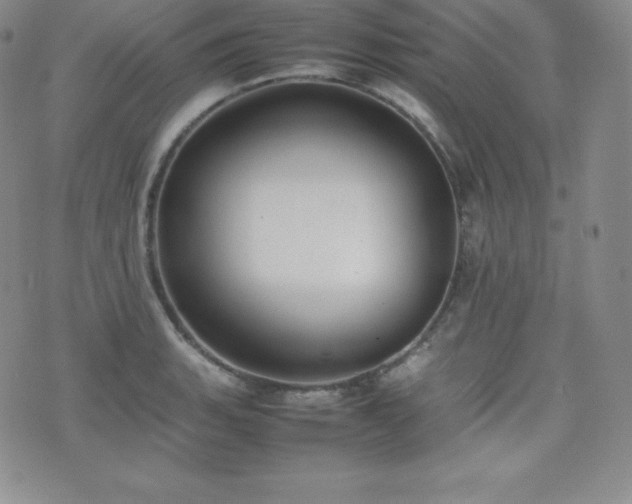 X0000077381135200610201346