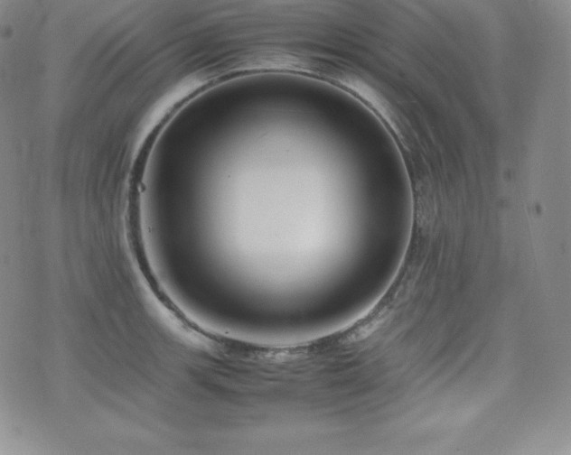 X0000077381139200610201346