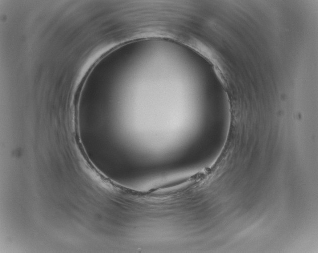 X0000077381140200610201346
