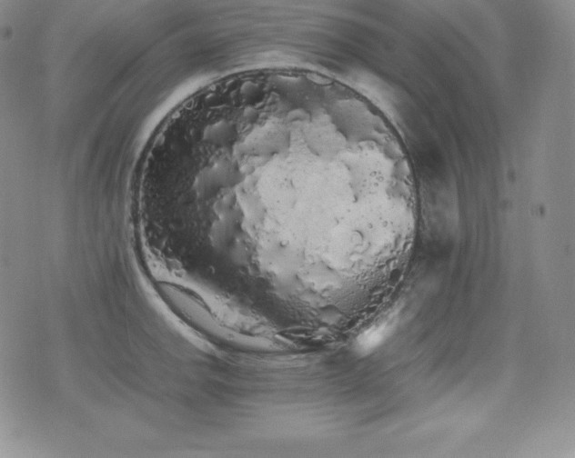 X0000077381142200610201346