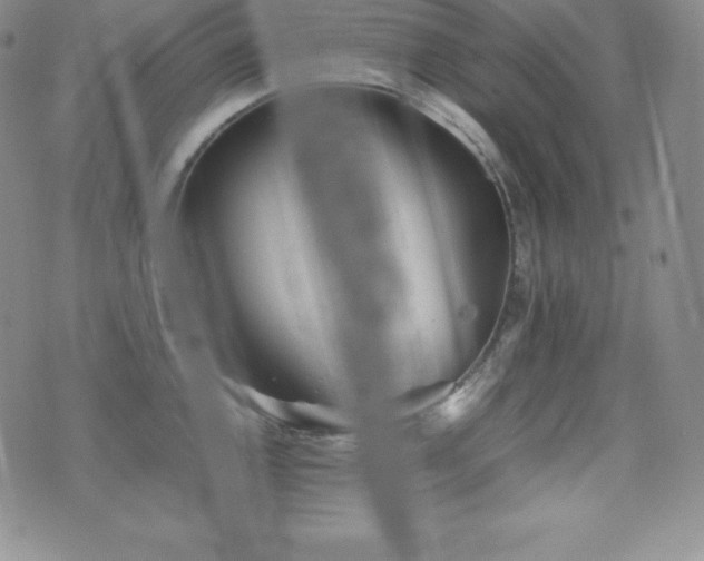 X0000077381144200610201346