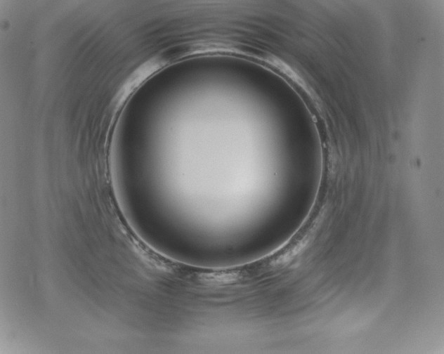 X0000077381145200610201346