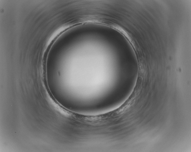 X0000077381147200610201346