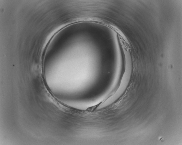 X0000077381148200610201346