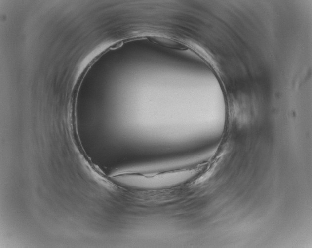 X0000077381149200610201346