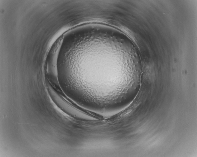 X0000077381151200610201346