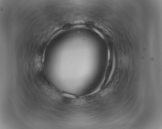 X0000077381156200610201345