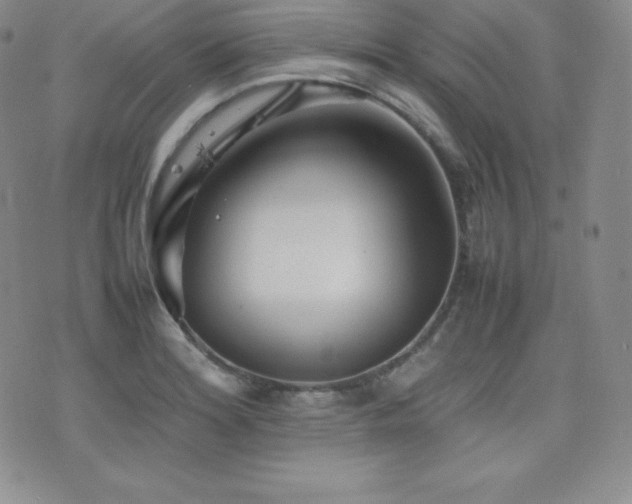 X0000077381180200610201345