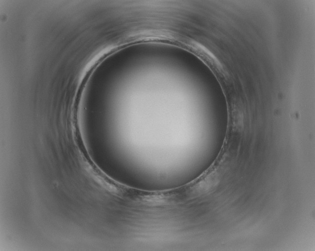 X0000077381182200610201345