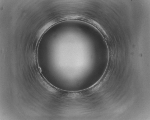 X0000077381186200610201345