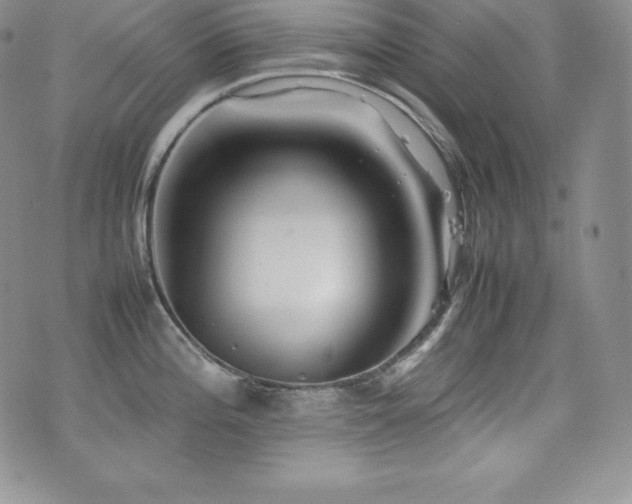 X0000077381196200610201345