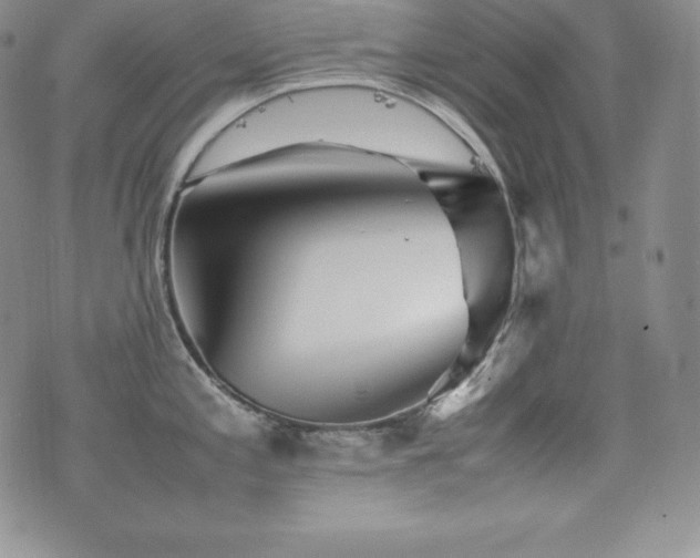X0000077381197200610201345