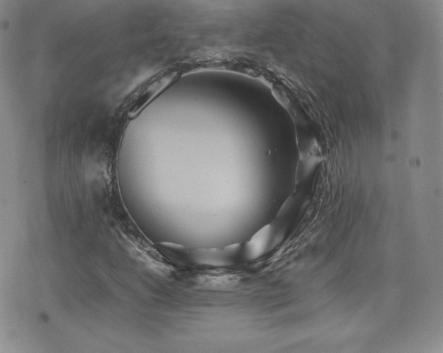 X0000077381206200610201344