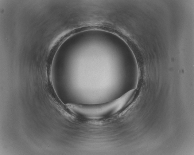 X0000077381214200610201344