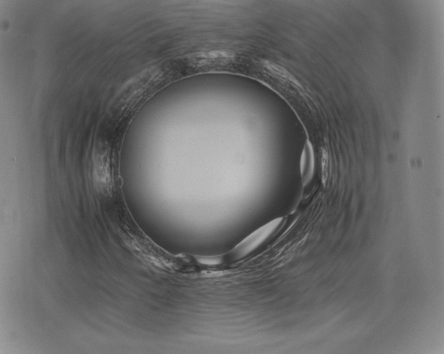 X0000077381250200610201344