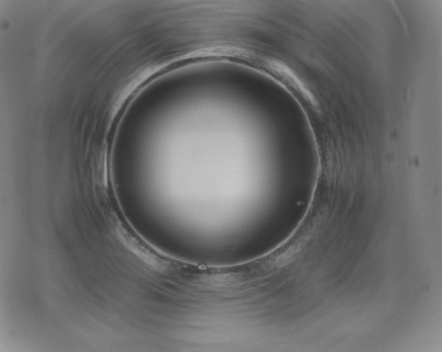 X0000077381276200610201343