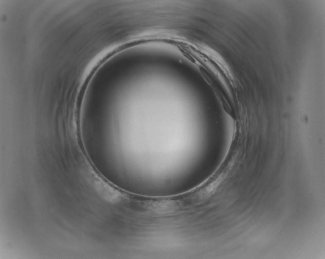X0000077381288200610201343