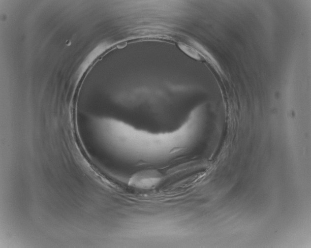 X0000077381291200610201343