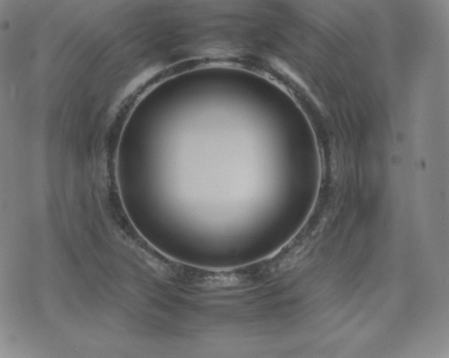 X0000077381315200610201342