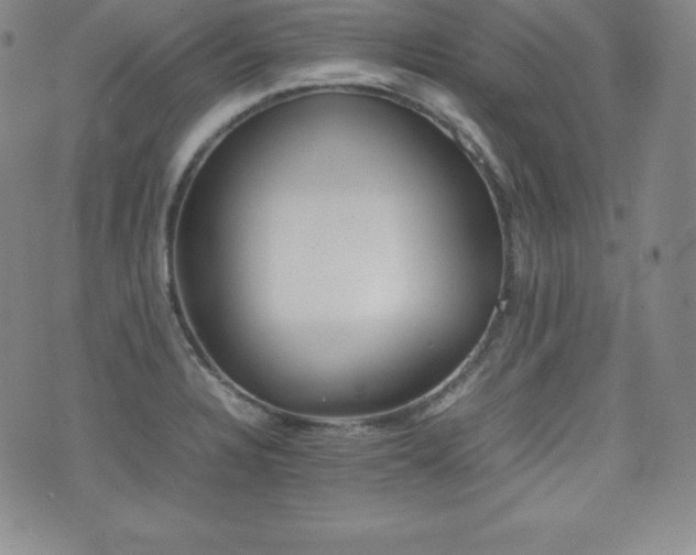 X0000077381328200610201343
