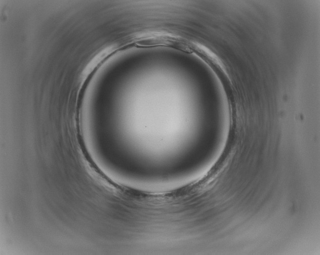 X0000077381330200610201343