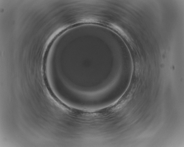 X0000077381331200610201343