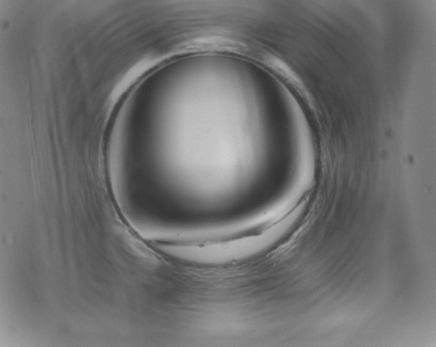 X0000077381336200610201343